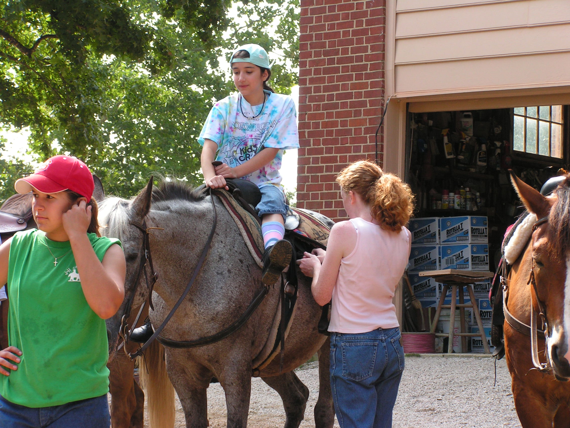 ./2004/J and H Stables/cars 11th horse party 04-0001.JPG